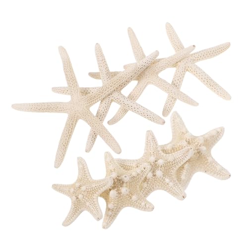 WOONEKY 8 Stück Natürliche Seestern Deko Teiliges Handwerk Ornamente für DIY Basteln Tischdeko Strand Meer Dekoration Innen Außen Vielseitig WOONEKY 8 Stück Natürliche Seestern Deko Teiliges Handwerk Ornamente für DIY Basteln Tischdeko Strand Meer Dekoration Innen Außen Vielseitig von WOONEKY