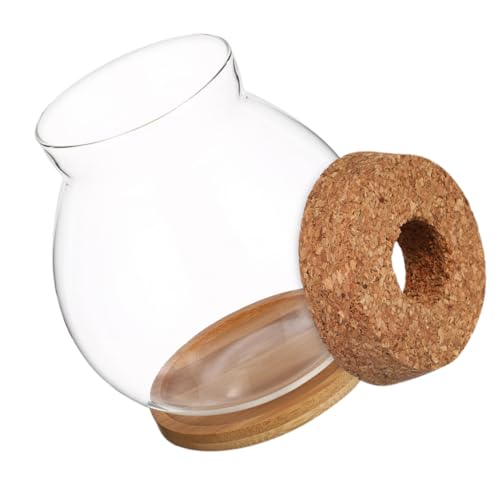 WOONEKY Kleines Hydroponisches Aquarium mit Transparentem und Eleganter Holzabdeckung Schreibtisch Fischschale für Betta Fische Pflegeleichtes Terrarium Erde Dekoratives Mini Fischbecken WOONEKY Kleines Hydroponisches Aquarium mit Transparentem und Eleganter Holzabdeckung Schreibtisch Fischschale für Betta Fische Pflegeleichtes Terrarium Erde Dekoratives Mini Fischbecken von WOONEKY