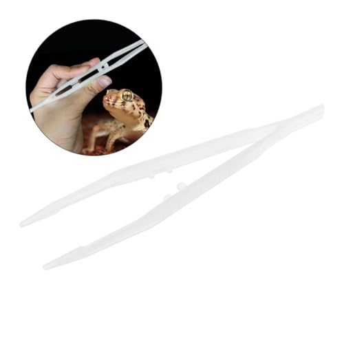 WOONEKY Luminöse Reptilien Futterzange aus Rostfreiem PP Praktische Fütterungshilfe für Eidechsen und Kleine Haustiere Schonende Greiffunktion Langlebiges Kunststoffmaterial WOONEKY Luminöse Reptilien Futterzange aus Rostfreiem PP Praktische Fütterungshilfe für Eidechsen und Kleine Haustiere Schonende Greiffunktion Langlebiges Kunststoffmaterial von WOONEKY