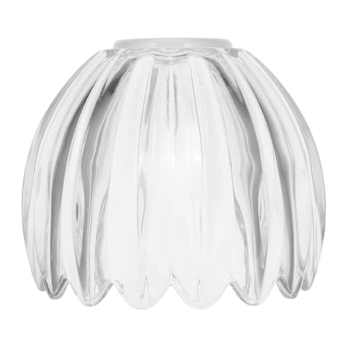 WOONEKY Glas Lampenschirm in Kürbisform Klar Für Pendelleuchten Handgefertigt Geeignet Für Schlafzimmer Küche Flur Und Badezimmer Schafft Eine Warme Und Gemütliche Atmosphäre von WOONEKY