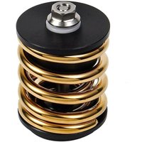 Hinten Für Faltrad Federung Zubehör Titan Achse Edelstahl Feder Gold Hinten Für Faltrad Federung Zubehör Titan Achse Edelstahl Feder Gold von WOOSIEN