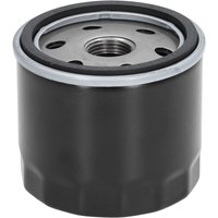 Luftfilter Ölfilter Set Robust Langlebig Hohe Zuverlässigkeit Einfache Installation Rasenmäher Zubehör von WOOSIEN