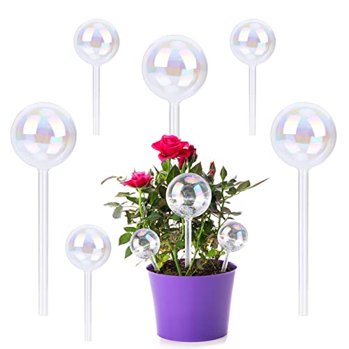 Pflanzenbewässerungskugeln 6er Set, Farbe Glas Dosierte Selbstbewässerungskugeln Pflanzen u. Blumen, Klarglas-Pflanzenbewässerungsbirnen, bewässerungsgeräte für den Innen- und Außenbereich, Hausgarten von WOOWAIR