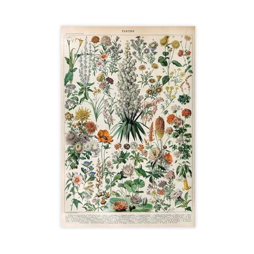 WOPIYNAG Kunstdruck auf Leinwand, Vintage-Blumendruck, Wandkunstdruck, Bild, Gemälde, 40 x 60 cm WOPIYNAG Kunstdruck auf Leinwand, Vintage-Blumendruck, Wandkunstdruck, Bild, Gemälde, 40 x 60 cm von WOPIYNAG