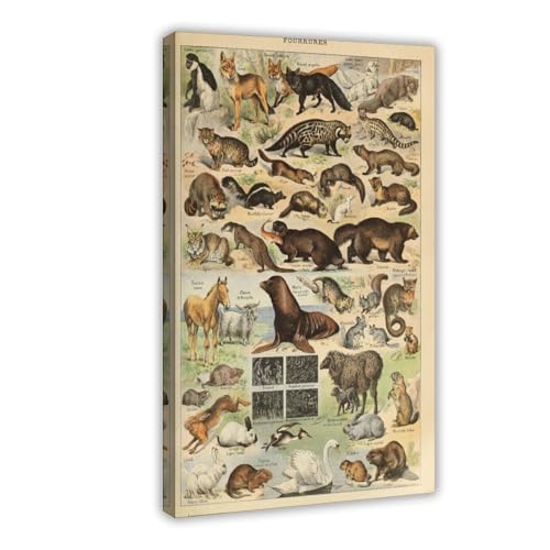 WOPIYNAG Poster auf Leinwand, Motiv: Wildtiere, Natur, Tier, Schlafzimmer, Dekoration, Landschaftsdekoration, Geschenk, 20 x 30 cm von WOPIYNAG