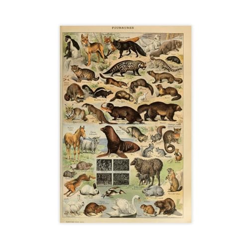 WOPIYNAG Poster auf Leinwand, Motiv: Wildtiere, Natur, Tier, Wandkunstdruck, Bild, Gemälde, 30 x 45 cm von WOPIYNAG