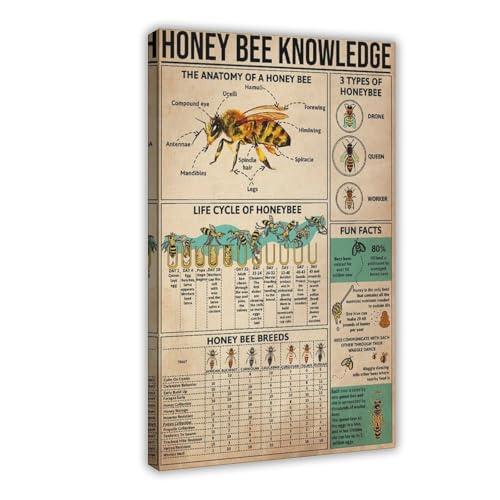WOPIYNAG Poster mit Honigbienen-Wissen, Leinwand-Poster, Wandkunstdruck, Bild, Gemälde, 20 x 30 cm WOPIYNAG Poster mit Honigbienen-Wissen, Leinwand-Poster, Wandkunstdruck, Bild, Gemälde, 20 x 30 cm von WOPIYNAG