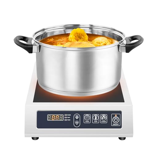 3500 W Induktionsplatte, Mikrokristallines Glas/Edelstahl Induktionskochplatte, 5 Leistungsstufen, 10 Temperatur Getriebe, 24-Stunden-Timer & LED-Anzeige Kochplatte Induktion für Küchen, Hotels von WOQLIBE