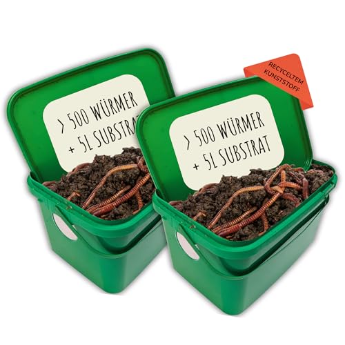 WORMSYSTEMS 2 x 500 Kompostwürmer lebend in 10L Kompostbeschleuniger Substrat WORMSYSTEMS 2 x 500 Kompostwürmer lebend in 10L Kompostbeschleuniger Substrat von WORMSYSTEMS