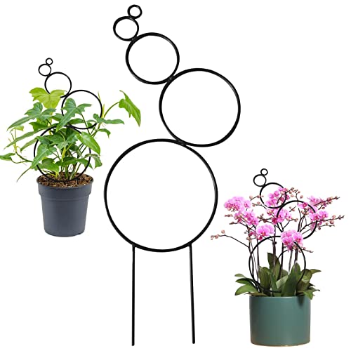 Rankhilfe für Topfpflanzen im Innenbereich – Stapelbares Zimmerpflanzen-Rankgitter für Kletterpflanzen | Stützpfahl Zimmerpflanze Rankhilfe für Garten Topf, Pothos, Blume, Monstera Rankhilfe für Topfpflanzen im Innenbereich – Stapelbares Zimmerpflanzen-Rankgitter für Kletterpflanzen | Stützpfahl Zimmerpflanze Rankhilfe für Garten Topf, Pothos, Blume, Monstera von WOTEG