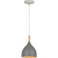 Wottes - Nordic Modern Einfache Pendelleuchte Metall Holz Hängeleuchte Grau Kronleuchter Lampenschirm von WOTTES