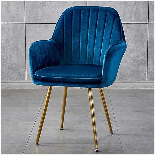 Schminkstuhl aus Samt, Schminkstuhl mit Metallbeinen, Gepolsterter Beistellstuhl, Esszimmerstühle mit Rückenlehne, Für Wohnzimmer, Schlafzimmer, Frisiertisch,D Schminkstuhl aus Samt, Schminkstuhl mit Metallbeinen, Gepolsterter Beistellstuhl, Esszimmerstühle mit Rückenlehne, Für Wohnzimmer, Schlafzimmer, Frisiertisch,D von WOTZOV