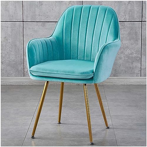 Schminkstuhl aus Samt, Schminkstuhl mit Metallbeinen, Gepolsterter Beistellstuhl, Esszimmerstühle mit Rückenlehne, Für Wohnzimmer, Schlafzimmer, Frisiertisch,E Schminkstuhl aus Samt, Schminkstuhl mit Metallbeinen, Gepolsterter Beistellstuhl, Esszimmerstühle mit Rückenlehne, Für Wohnzimmer, Schlafzimmer, Frisiertisch,E von WOTZOV