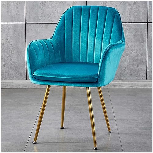 Schminkstuhl aus Samt, Schminkstuhl mit Metallbeinen, Gepolsterter Beistellstuhl, Esszimmerstühle mit Rückenlehne, Für Wohnzimmer, Schlafzimmer, Frisiertisch,G Schminkstuhl aus Samt, Schminkstuhl mit Metallbeinen, Gepolsterter Beistellstuhl, Esszimmerstühle mit Rückenlehne, Für Wohnzimmer, Schlafzimmer, Frisiertisch,G von WOTZOV