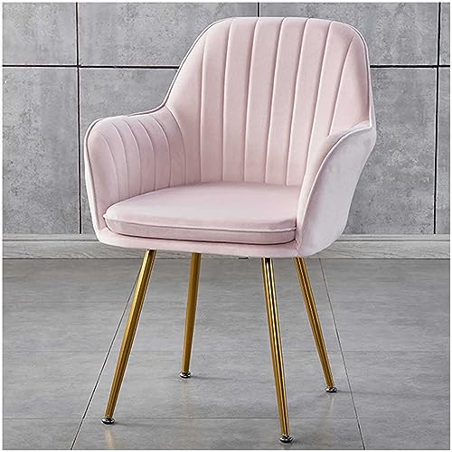Schminkstuhl aus Samt, Schminkstuhl mit Metallbeinen, Gepolsterter Beistellstuhl, Esszimmerstühle mit Rückenlehne, Für Wohnzimmer, Schlafzimmer, Frisiertisch,I Schminkstuhl aus Samt, Schminkstuhl mit Metallbeinen, Gepolsterter Beistellstuhl, Esszimmerstühle mit Rückenlehne, Für Wohnzimmer, Schlafzimmer, Frisiertisch,I von WOTZOV