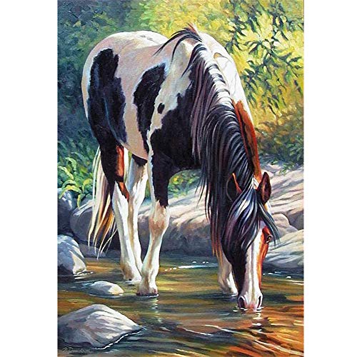 5D Diamond Painting Diamant Malerei Painting Bilder, Wowdecor Pferd Tiere Strom Stein Baum Full Set Groß DIY Diamant Gemälde Malen Nach Zahlen von WOWDECOR