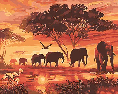 WOWDECOR DIY Malen nach Zahlen für Erwachsene Kinder Mädchen, Dämmerung Wald Elefant Familie 40x50 cm Vorgedruckt Leinwand-Ölgemälde (mit Rahmen) von WOWDECOR