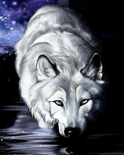 WOWDECOR DIY Malen nach Zahlen für Erwachsene Kinder Mädchen, Weißer Wolf Nachthimmel Geheimnisvoll Tier 40x50cm Vorgedruckt Leinwand-Ölgemälde (mit Rahmen) von WOWDECOR