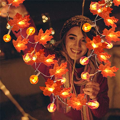 Lichterkette Außen Innen Ahornblätter LED Lichter Batteriebetrieben Laterne Herbst Lichterketten Home Thanksgiving Halloween Dekoration für Garten Party Indoor Outdoor von WOXIHUAN