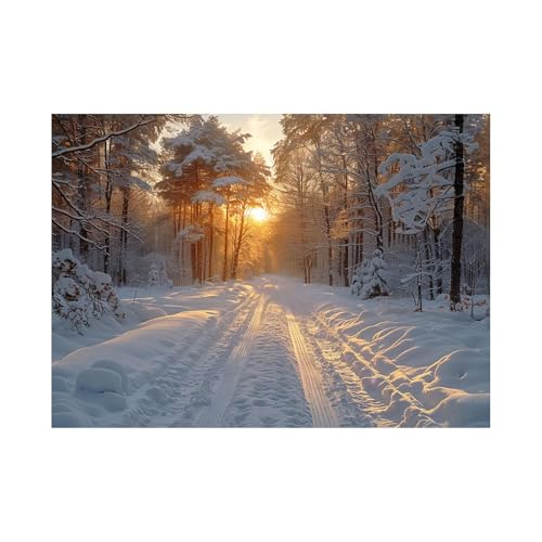 WQBQKKX Wald Bilder Auf Leinwand Xxl Winterlandschaft Xxl Leinwand Bilder,Gold, weiß Poster Zue Wohnzimmer Schlafzimmer Wanddekoration-70x100cm Ungerahmt WQBQKKX Wald Bilder Auf Leinwand Xxl Winterlandschaft Xxl Leinwand Bilder,Gold, weiß Poster Zue Wohnzimmer Schlafzimmer Wanddekoration-70x100cm Ungerahmt von WQBQKKX