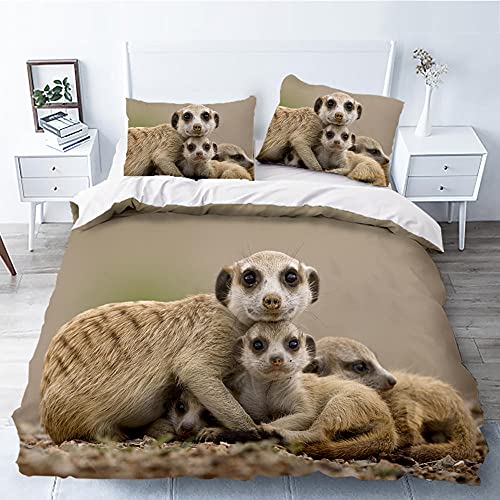 WQIZXCW Bettwäsche 155x220 Erdmännchen Bettbezug Set 120gsm Mikrofaser 2 Teilig - Super Weich Bettbezüge und Kissenbezug mit Reißverschluss WQIZXCW Bettwäsche 155x220 Erdmännchen Bettbezug Set 120gsm Mikrofaser 2 Teilig - Super Weich Bettbezüge und Kissenbezug mit Reißverschluss von WQIZXCW