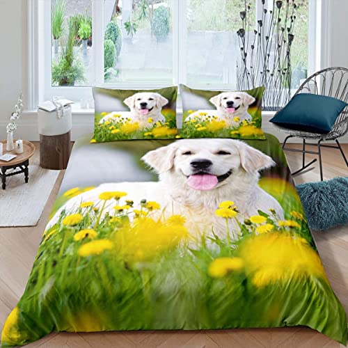 Labrador Bettwäsche 135x200, 110gsm Microfaser Bettbezug Set 2 Teilig - Weich & Angenehm & Atmungsaktiv, 1 Bettbezüge mit Reißverschluss + 1 Kissenbezug 80x80 cm von WQIZXCW