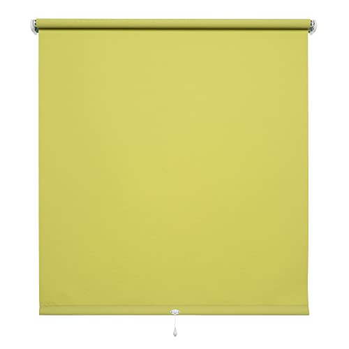 WR-Design Spring- oder Mittelzugrollo in Blattgrün - Breiten 62 bis 202 cm - Länge 180 cm - dekorativer Sichtschutz (202 x 180 cm) von WR-Design