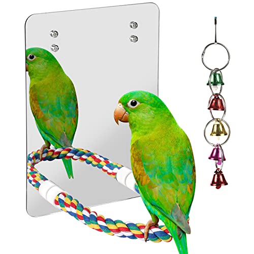 WREWING Vogelspielzeug – 25,4 cm Acryl-Spiegel mit bunter Seilsitzstange – ideal für Sittiche, Papageien und kleine bis mittelgroße Vögel von WREWING