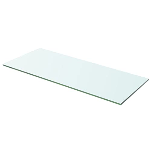 WRJENFSC Glas Regalboden Transparent 60x20 cm Wandregal aus Hartglas mit 15 kg Tragfähigkeit für Wanddeko in Wohnung Küche Badezimmer von WRJENFSC