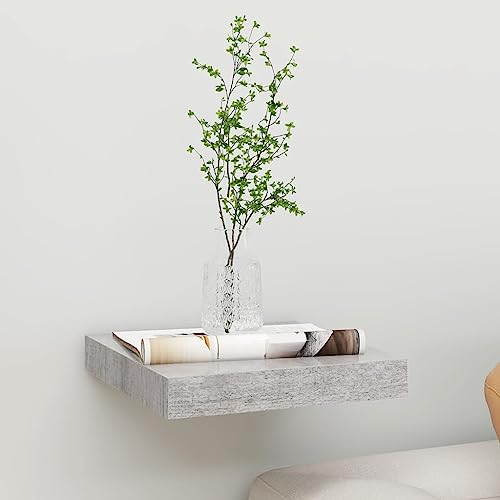 WRJENFSC Schweberegal Betongrau 23x23,5x3,8 cm MDF Metall Wandregal mit unsichtbarer Montage – Schwebendes Wandboard für Deko Bücher Pflanzen in Wohnzimmer Bad Küche von WRJENFSC