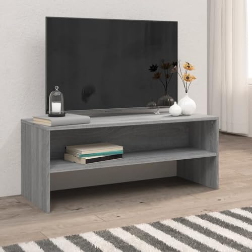 WRJENFSC TV-Schrank Grau Sonoma 100x40x40 cm Holzwerkstoff Lowboard mit Stauraum Fernsehschrank für Wohnzimmer Möbel von WRJENFSC