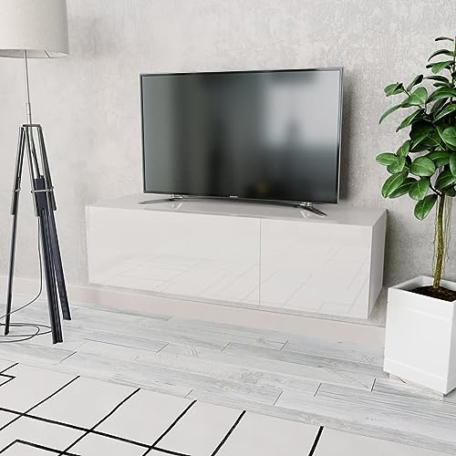 WRJENFSC TV Schrank Lowboard Sideboard 120x40x34 cm Hochglanz-Weiß mit Mattweiß Holzwerkstoff Modernes Design 2 Fächer für Wohnzimmer und Schlafzimmer von WRJENFSC