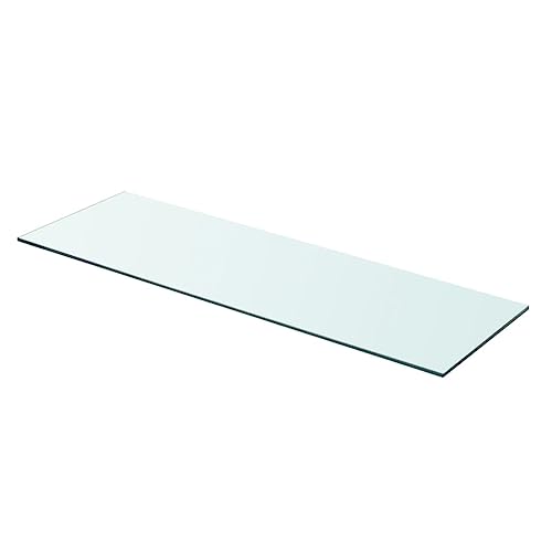 WRJENFSC Transparente Glasplatte Regalboden 80x25 cm Wandregal Schwebend aus Hartglas für Deko in Wohnung Geschäft Küche Bad von WRJENFSC
