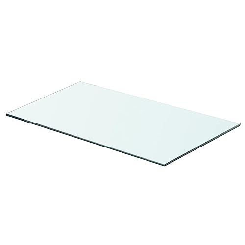 WRJENFSC Transparente Glasplatte für Wandregal 60x30 cm Hartglas Stabil Tragfähig 15 kg für Deko Bücher Pflanzen in Küche Bad Wohnzimmer von WRJENFSC