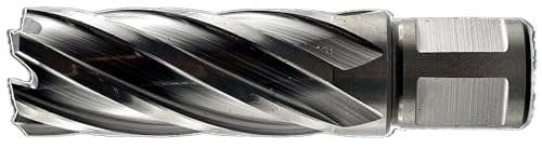 WRS Präz.-Kernbohrer aus HSS, 55 mm Schnitttiefe, 19 mm Weldonschaft, Größen Name: 19,0 mm Ø von WRS WINTERHOFF