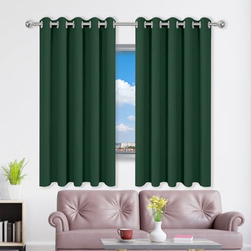 WRUIJIO Gardinen mit Kräuselband 123 x 166 cm Thermo Vorhang Gegen Kälte Und Hitze Blickdicht Wohnzimmer Vorhänge Schlaufen Gardinen Vielen Farben Und Größen für Wohnzimmer, Dunkelgrün von WRUIJIO