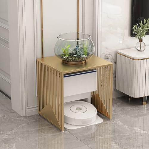 WRYsqbhjyb Staubsaugerschrank-Aufbewahrungsschrank, Mehrzweckschrank Aquariumständer, Metallschrank, Aktenschrank für Schlafzimmer, Wohnheim, Balkon(Gold,50 * 50 * 55cm/20 * 20 * 22in) von WRYsqbhjyb