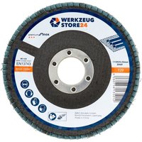 10x Lamellenschleifscheibe 115 mm gewölbt Zirkonkorund k 60 100047 - Ws24 von WS24