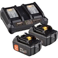 WS24 Akku Starter-Set 18 V / 2x 5,0 Ah Akku + Doppelschnellladegerät von WS24