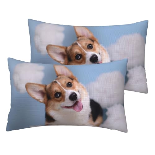 WSHFFILO Corgi Dogs bedruckter Kissenbezug aus Leinenimitat, 2 Sets von WSHFFILO