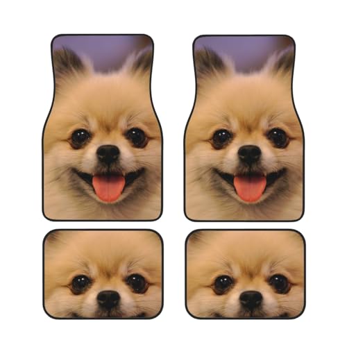 WSHFFILO Happy Kurzhaarige Pomeranian bedruckte Auto-Fußmatten Set mit vier rutschfesten Auto-Fußmatten von WSHFFILO