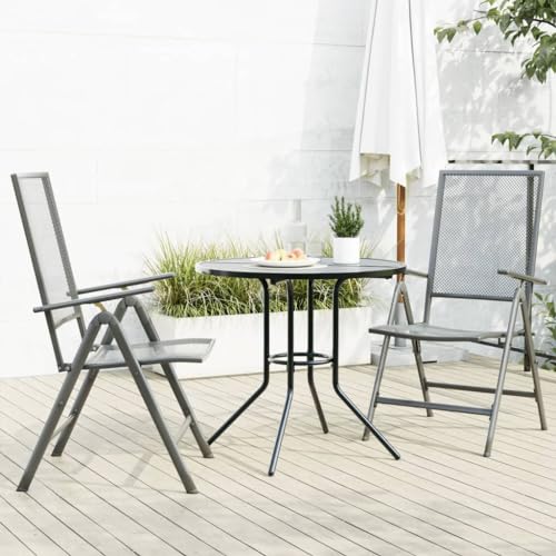 WSJHUHK Home-Outdoor Gartenstuhl-Set, Liegestuhl-Set, 3-teilig, anthrazit, pulverbeschichteter Stahl von WSJHUHK