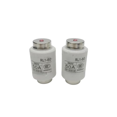 5 Stück RL1-60 16A 18A 20A 25A 30A 32A 35A 40A 45A 50A 55A 60A Sicherung(25A) von WSJMWKW