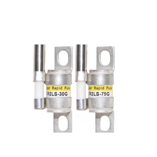 CR2LS-10G CR2LS-20G CR2LS-30G CR2LS-50G CR2LS-75G CR2LS-100G SICHERUNG(CR2LS-75G) von WSJMWKW