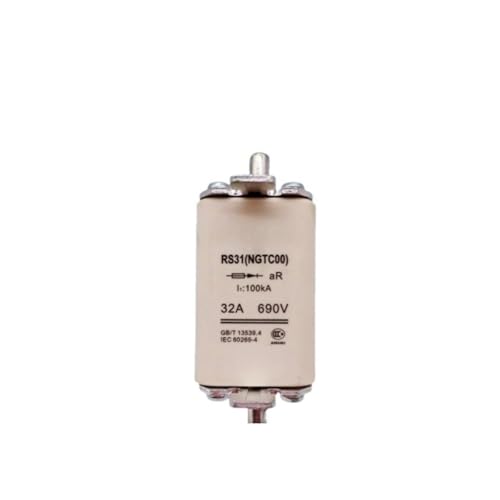 RS31 25A RS31 10A RS31 20A RS31 16A Sicherung(RS31 10A) von WSJMWKW