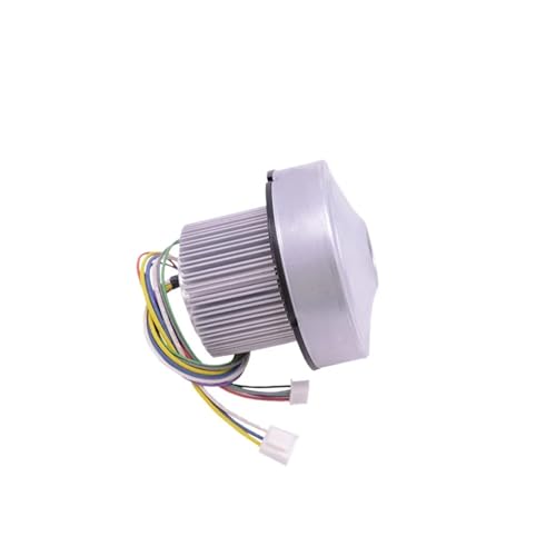 WSJMWKW Dreiphasige bürstenlose Gleichstrom-Sämaschine, Miniatur-Ventilator mit großem Luftvolumen, kleines Hochspannungs-Gleichstrom-Radialgebläse von WSJMWKW