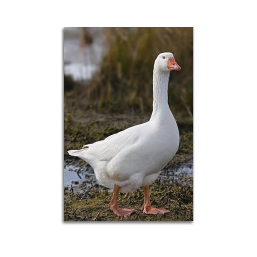 Tierposter Schneewittchen Gans dekorative Leinwand Wand & Kunst Poster Gemälde 40 x 60 cm von WSLS