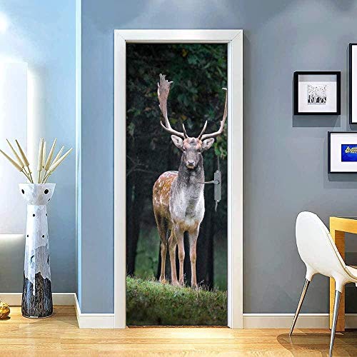 LuSeven türtapete selbstklebend 3d Grün Wald Tiere Hirsche 95x215cm Türtapete Wandbild Selbstklebend PVC Türfolie TürPoster Fototapete Wasserdicht Abnehmbar Wohnzimmer Schlafzimmer Haus Dekoration von WSNDZDM