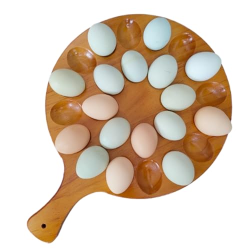 Deviled Ei Tably 24 Löcher Deviled Egg Platte 2 in 1 reversibler Teller & Wurstwarenbrett robuster Holzbehälter für Heimküchenversorgungsstil 1 Behälter Deviled Ei Tably 24 Löcher Deviled Egg Platte 2 in 1 reversibler Teller & Wurstwarenbrett robuster Holzbehälter für Heimküchenversorgungsstil 1 Behälter von WSYJWEX