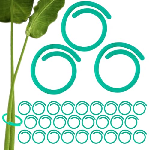 WSYJWEX Pflanzenclips 100pcs PP Spiral -Tomatenklammern Glatte Flexible Pflanzenstütze 1.06x0.98in Grün für das Kletternpflanzensplant von WSYJWEX